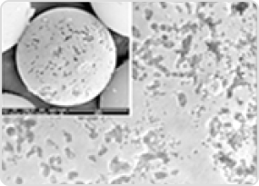 炭素復活技術, カーボンブラックの活性化による比表面積制御技術 2