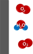 C + 2H2O