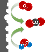 CO2 + 4H+ + 4e-(E0=0.207 V)